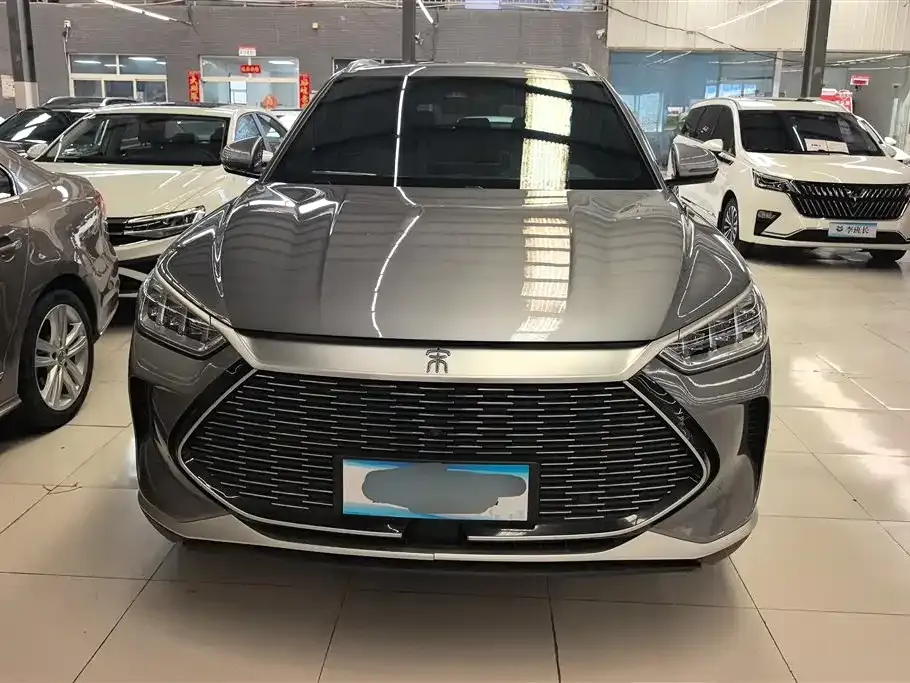 BYD PLUS New Energy — фото 10