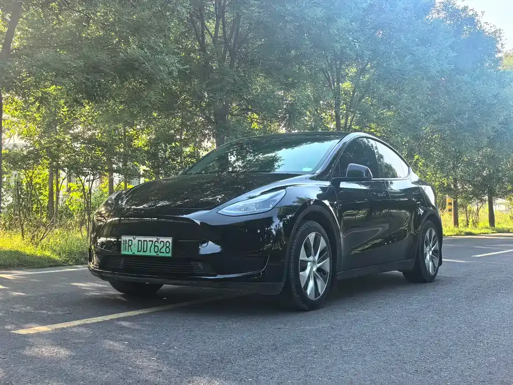 Tesla Model Y — фото 1
