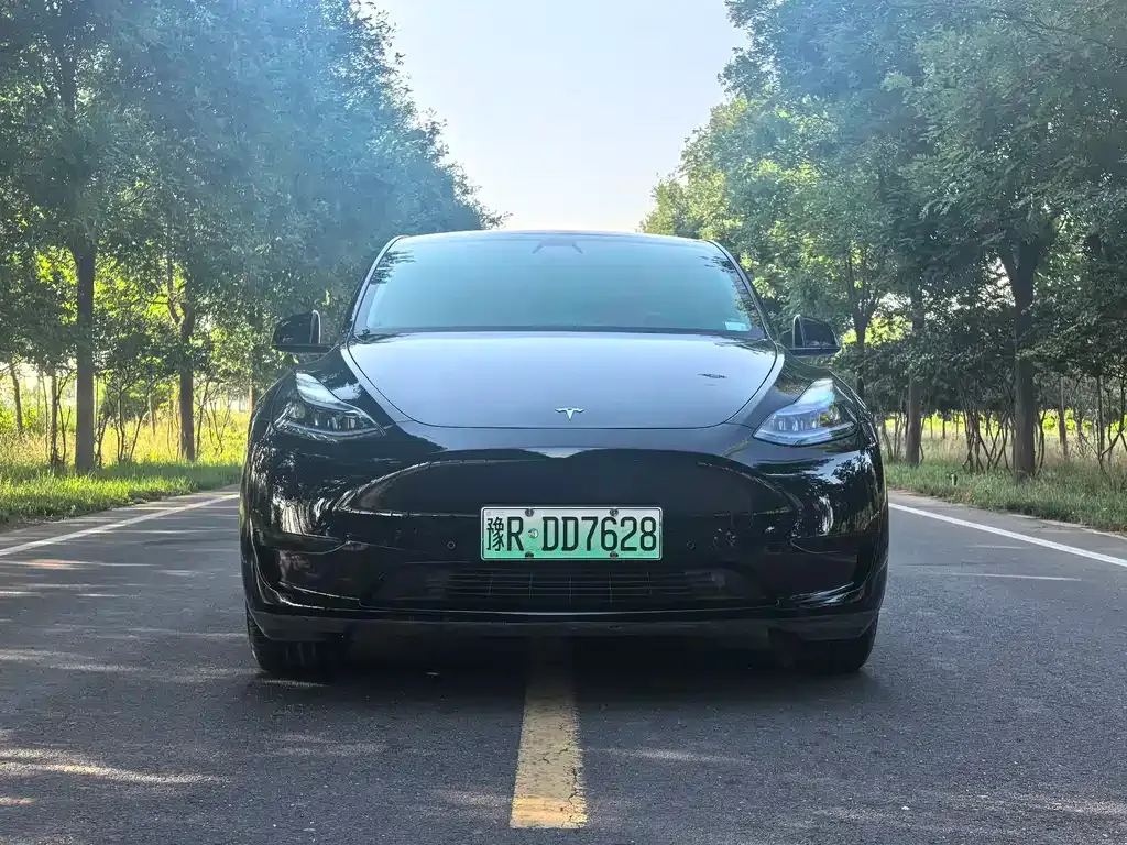 Tesla Model Y — фото 4