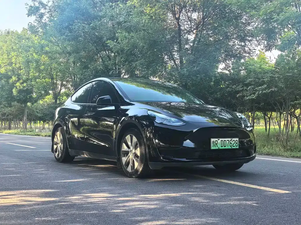Tesla Model Y — фото 8