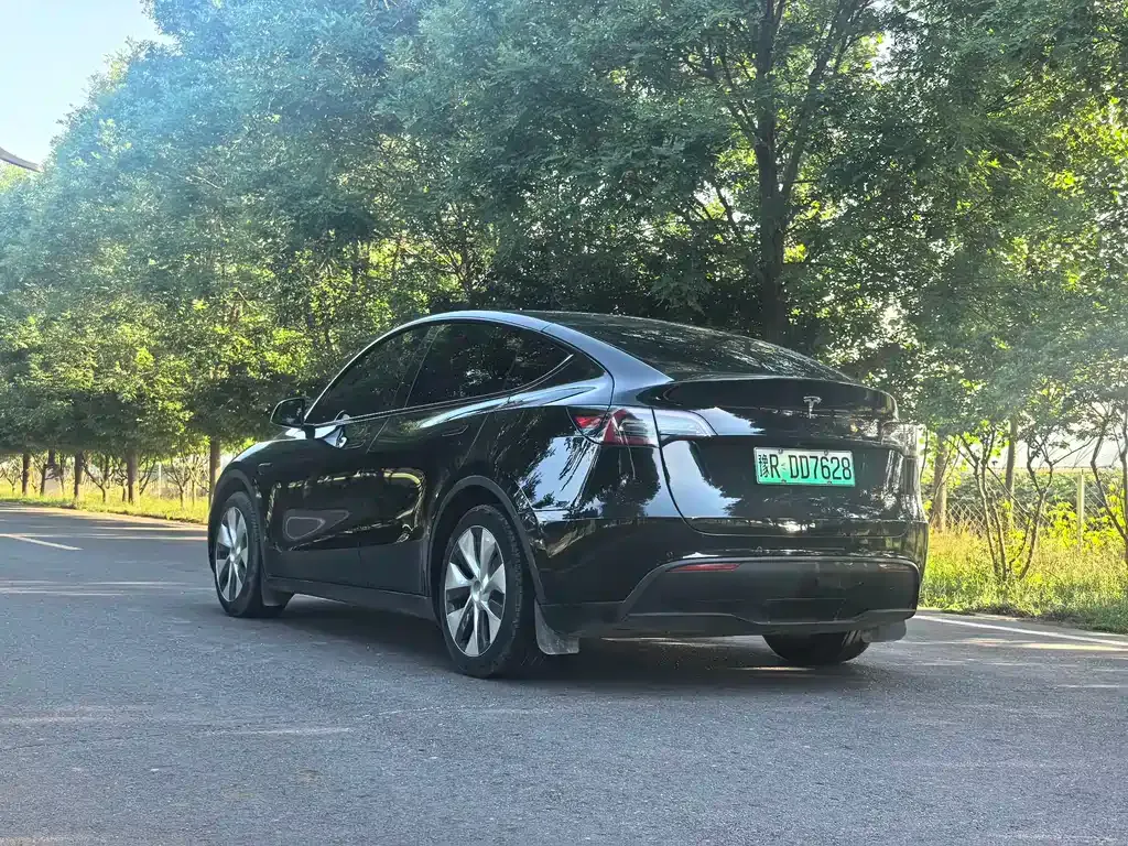 Tesla Model Y — фото 7