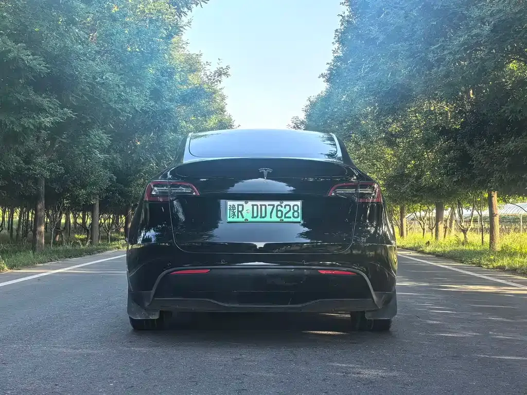 Tesla Model Y — фото 6