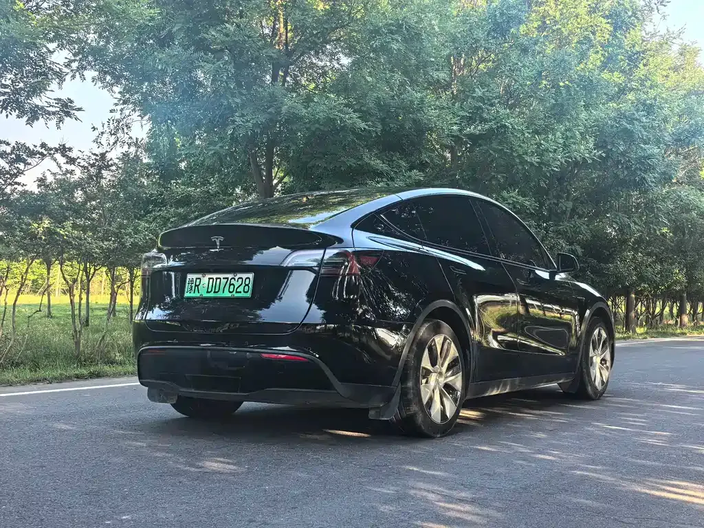 Tesla Model Y — фото 9