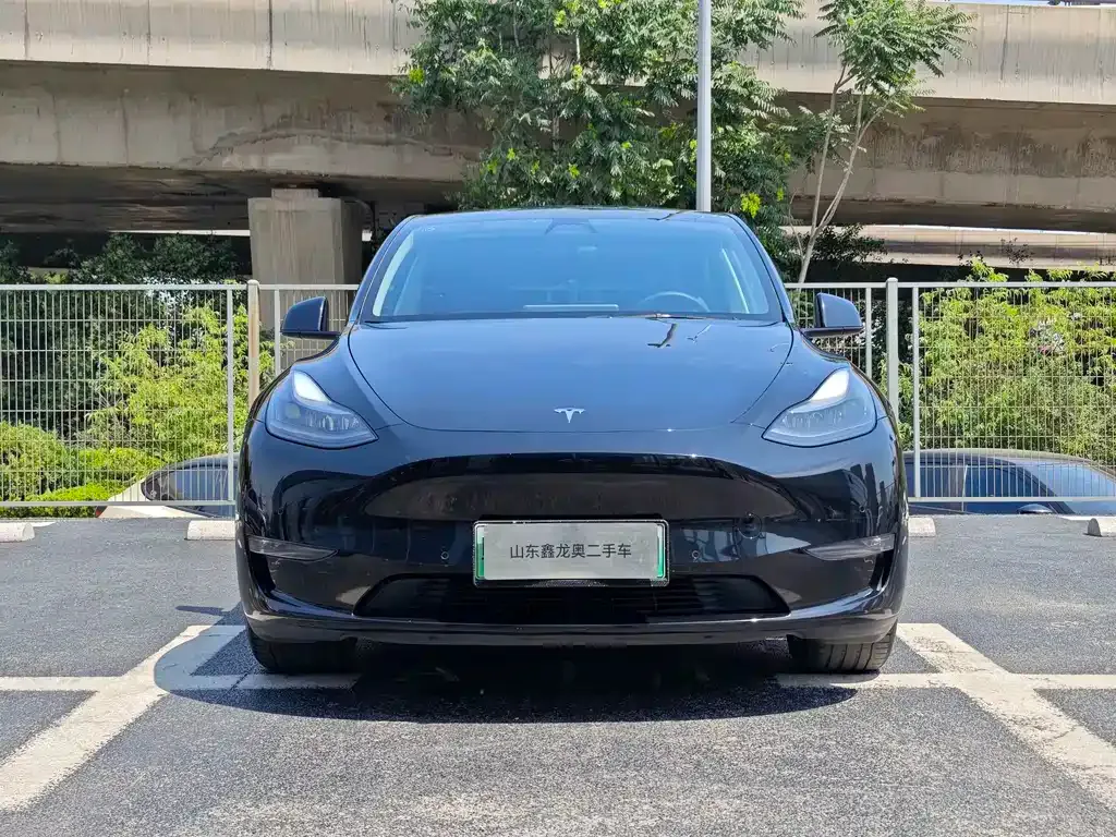 Tesla Model Y — фото 5