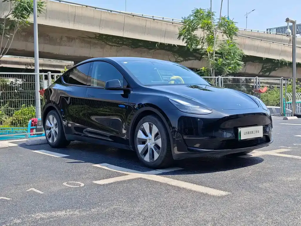 Tesla Model Y — фото 6