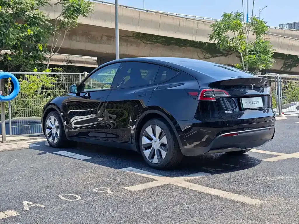 Tesla Model Y — фото 8