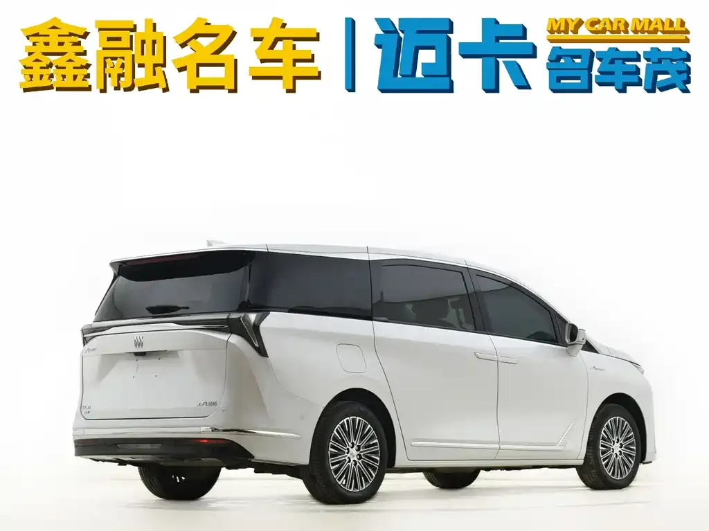 Buick GL8 Hybrid — фото 10