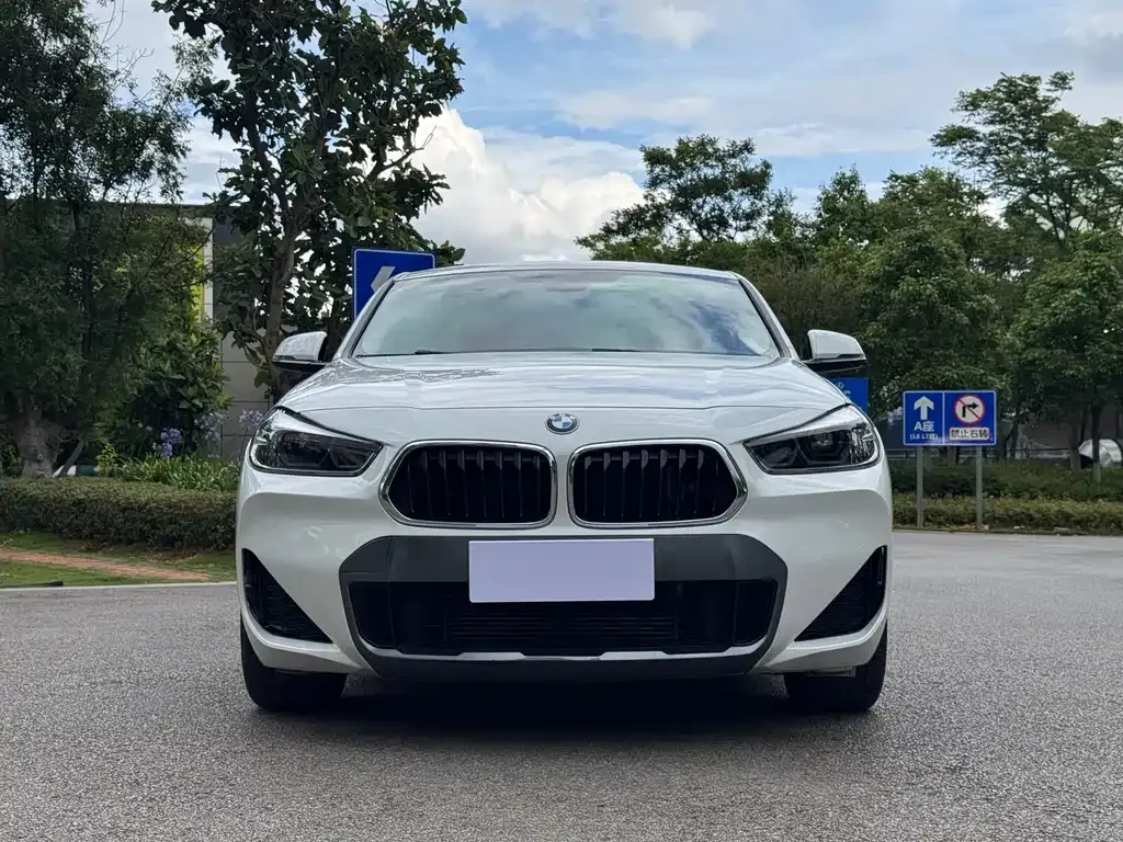 BMW X2 2021 из CN, фото 8