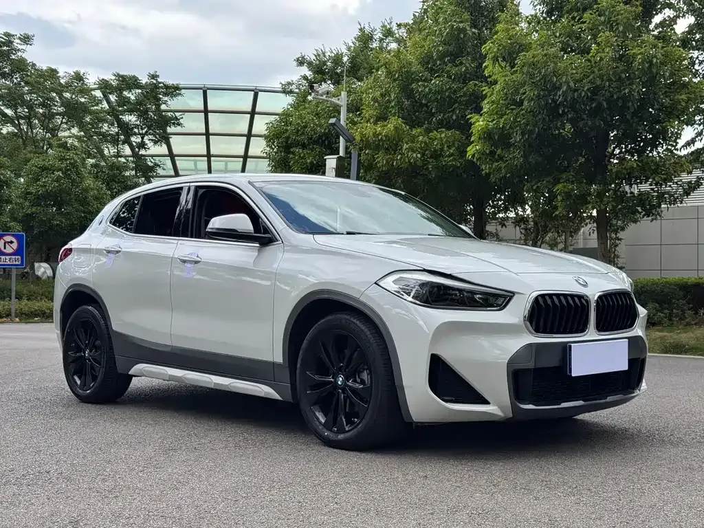 BMW X2 2021 из CN, фото 9