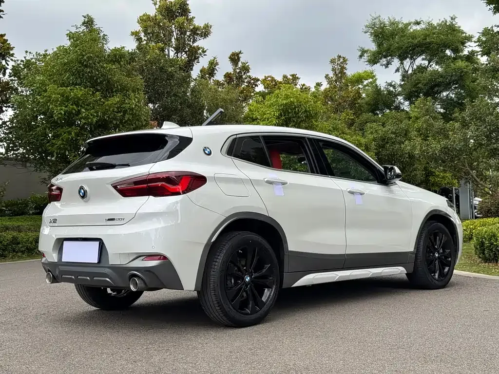 BMW X2 2021 из CN, фото 5
