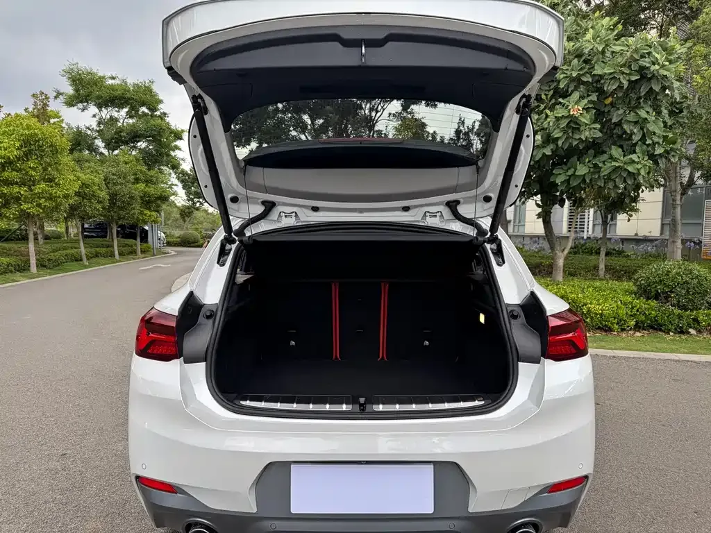BMW X2 2021 из CN, фото 4