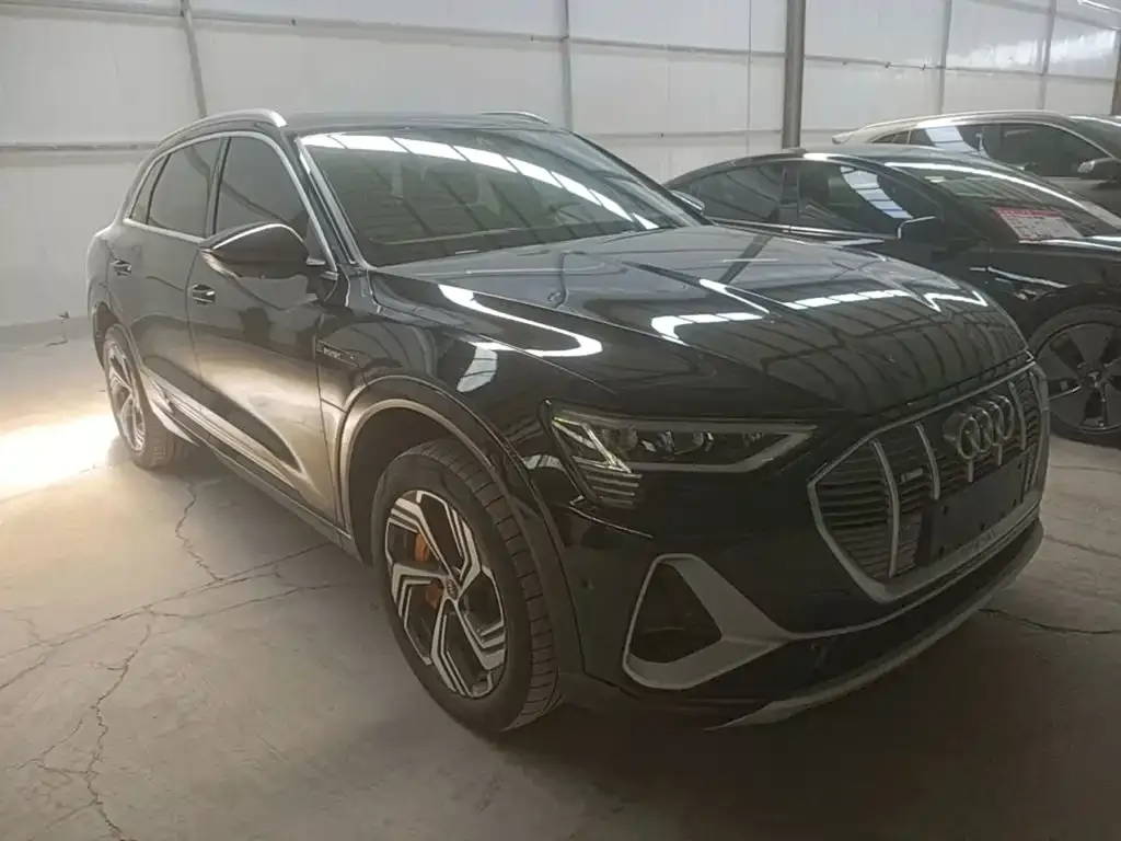Audi e-tron 2022 из CN, фото 7