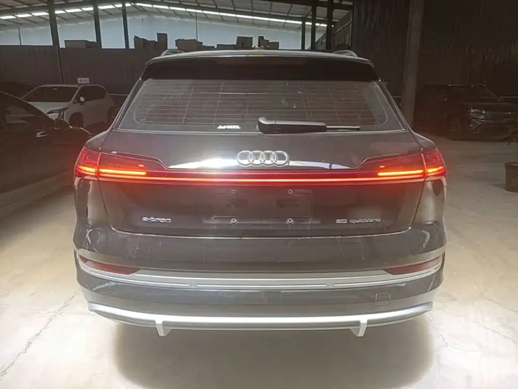Audi e-tron 2022 из CN, фото 6