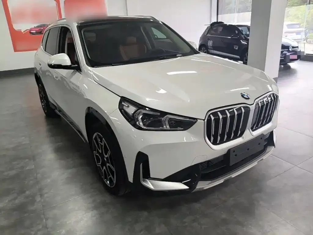 BMW X1 — фото 8