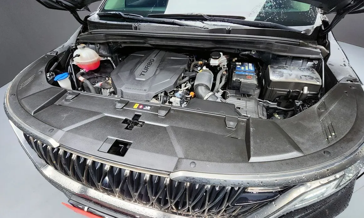 Kia Carnival — фото 10