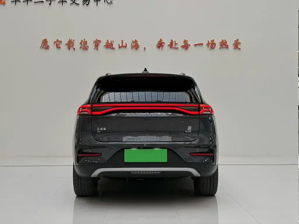 BYD Tang New Energy — фото 2