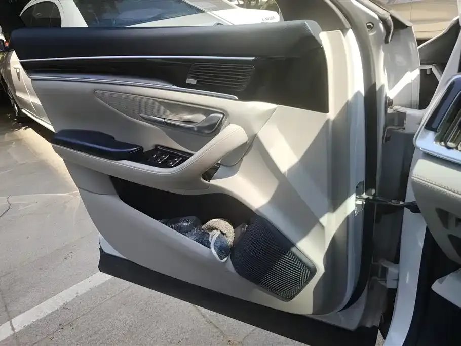 BYD PLUS New Energy — фото 10