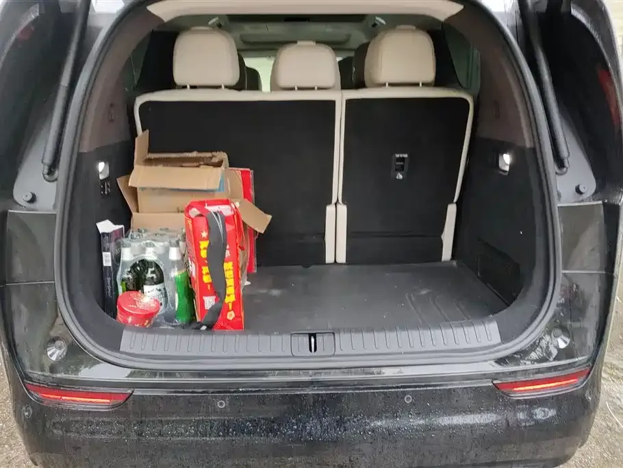 Li Auto MEGA 2024 из CN, фото 6