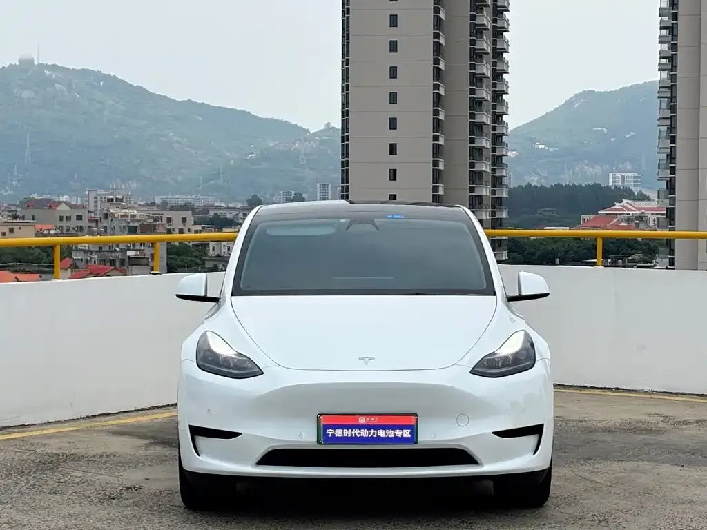 Tesla Model Y — фото 8