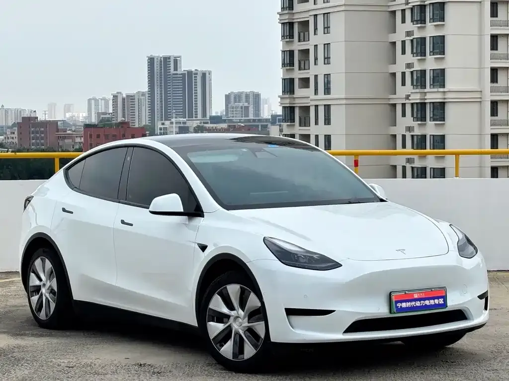 Tesla Model Y — фото 2