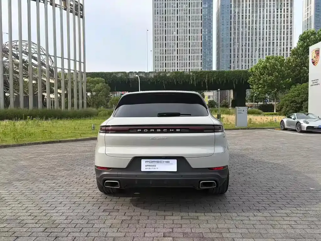Porsche Cayenne — фото 10