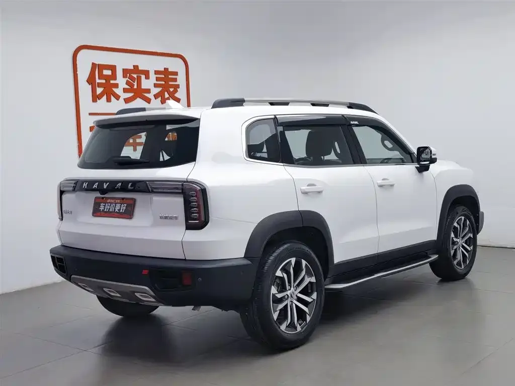 Haval Big Dog 2023 из CN, фото 5