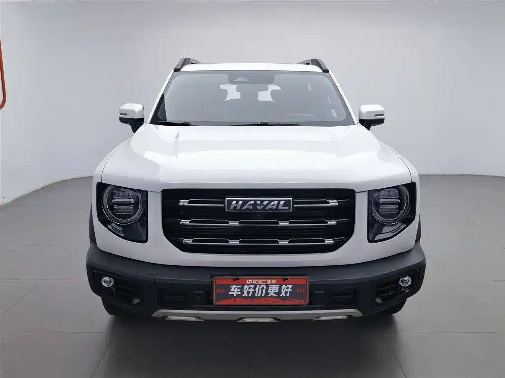 Haval Big Dog 2023 из CN, фото 4