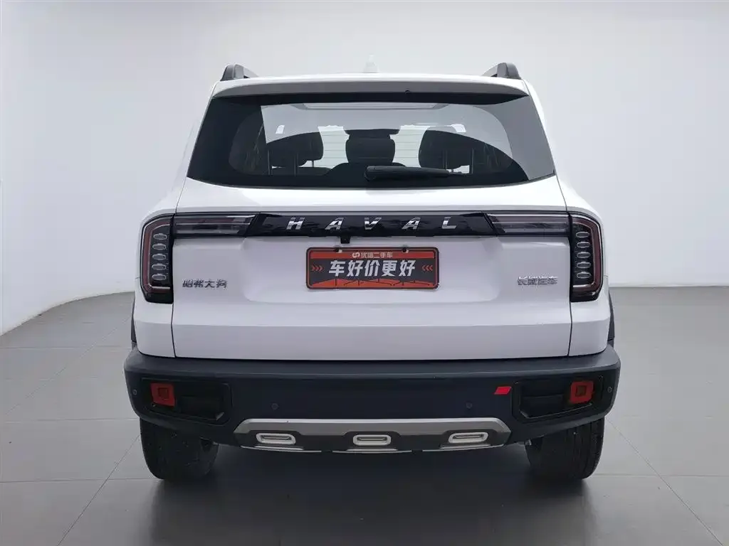 Haval Big Dog 2023 из CN, фото 3