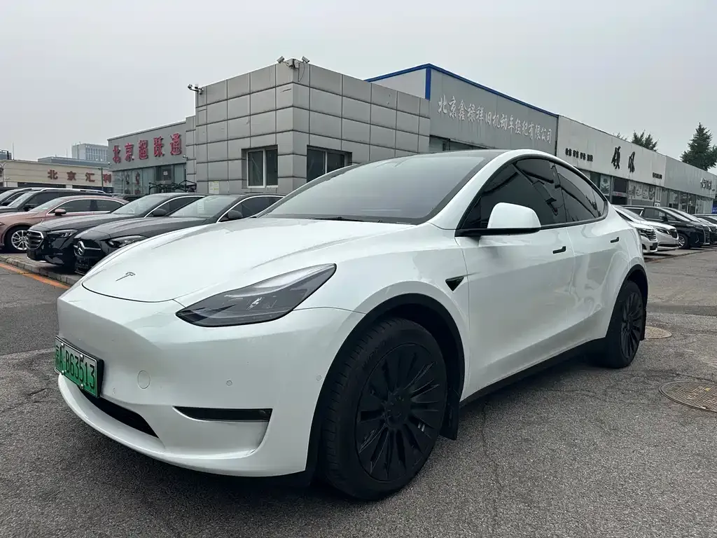 Tesla Model Y — фото 1