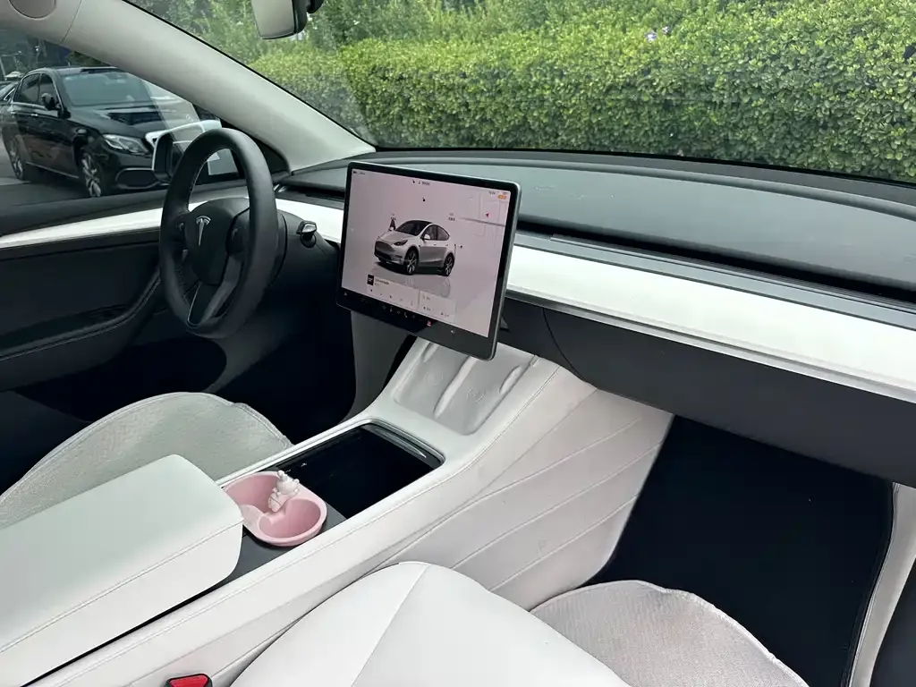 Tesla Model Y — фото 7