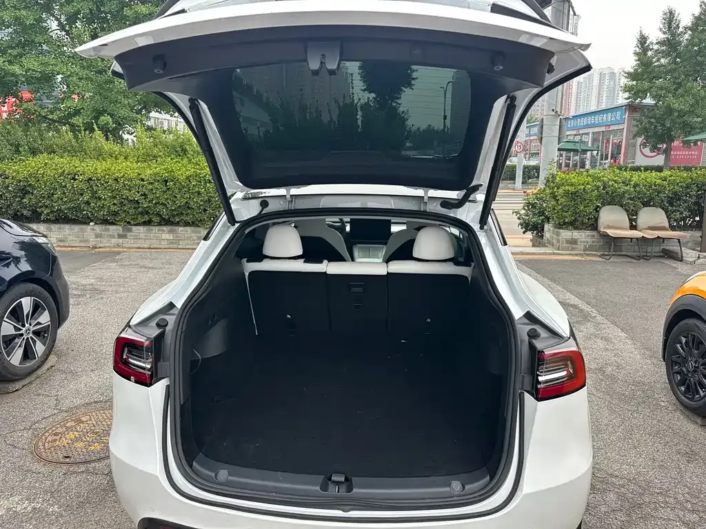 Tesla Model Y — фото 10