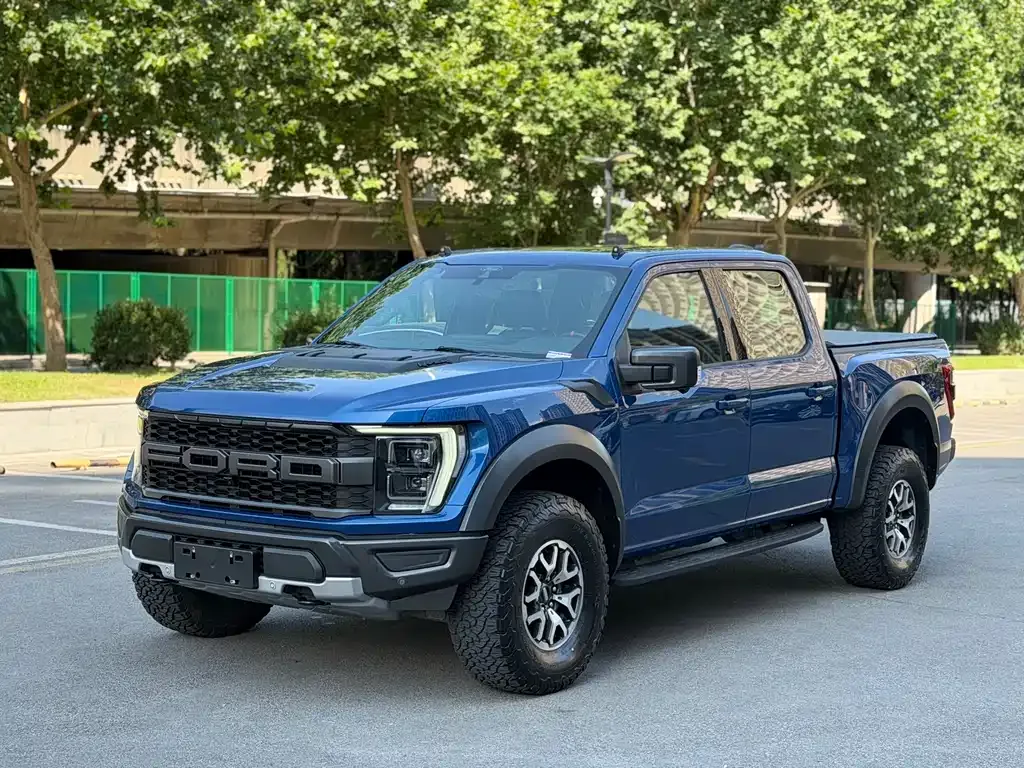 Ford F-150 Raptor 2023 из CN, фото 10