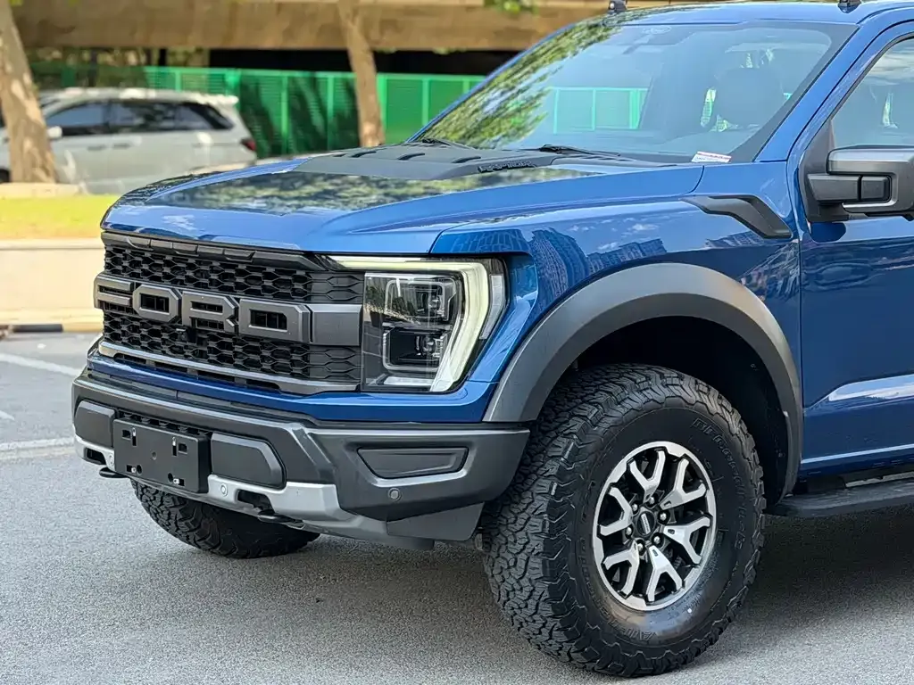 Ford F-150 Raptor 2023 из CN, фото 6