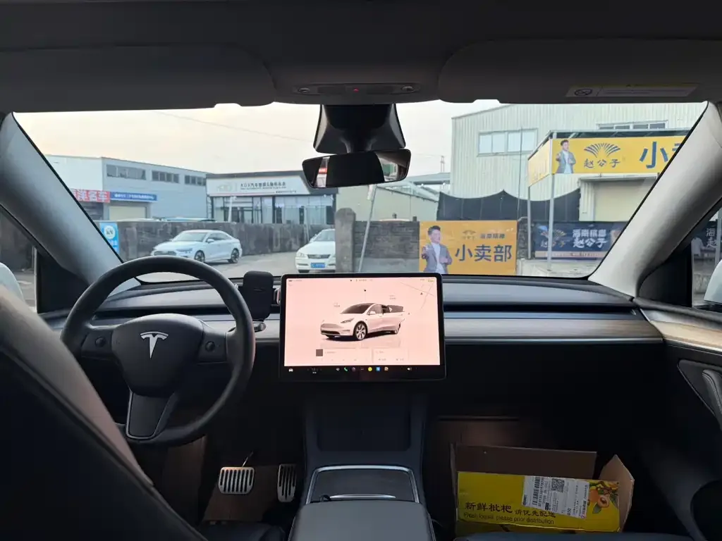 Tesla Model Y — фото 2