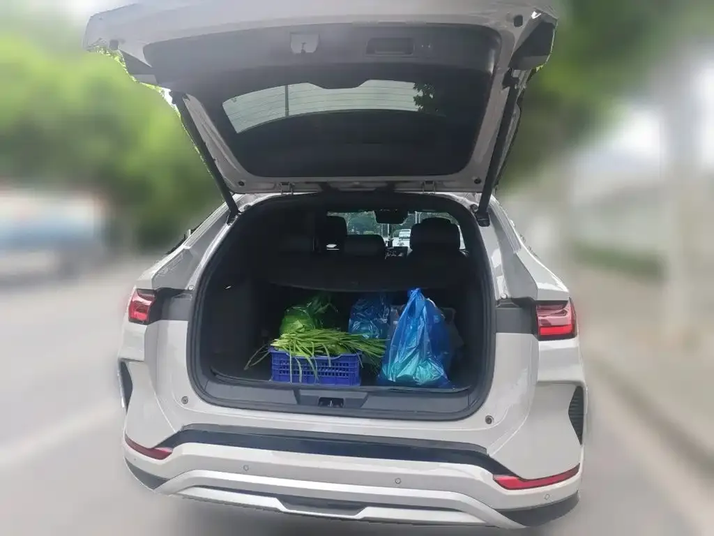 BYD PLUS New Energy — фото 10