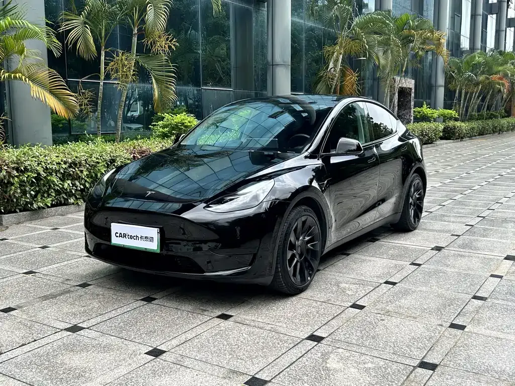 Tesla Model Y — фото 1
