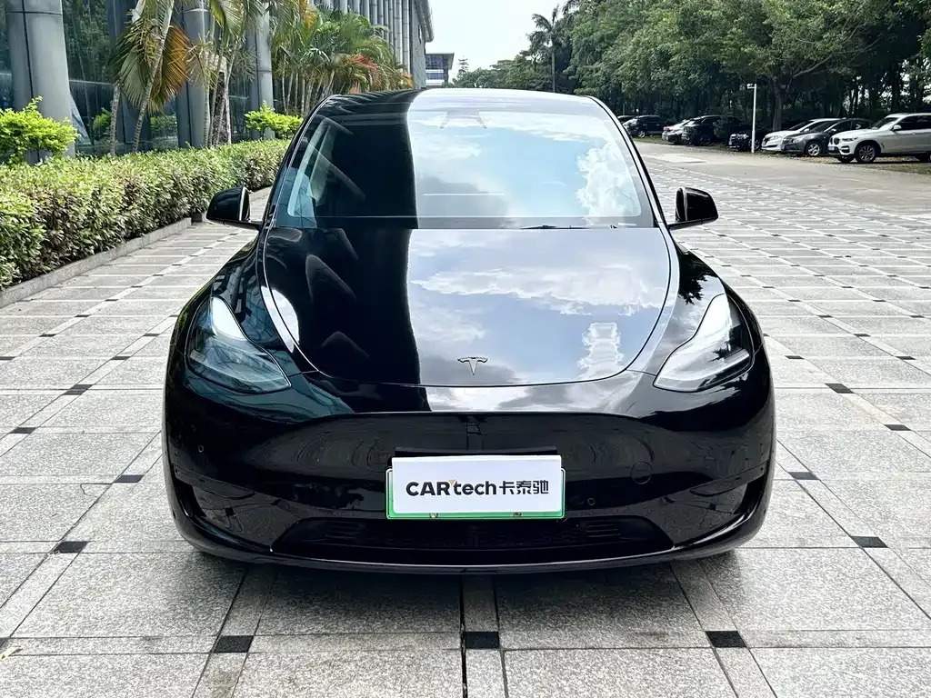 Tesla Model Y — фото 6