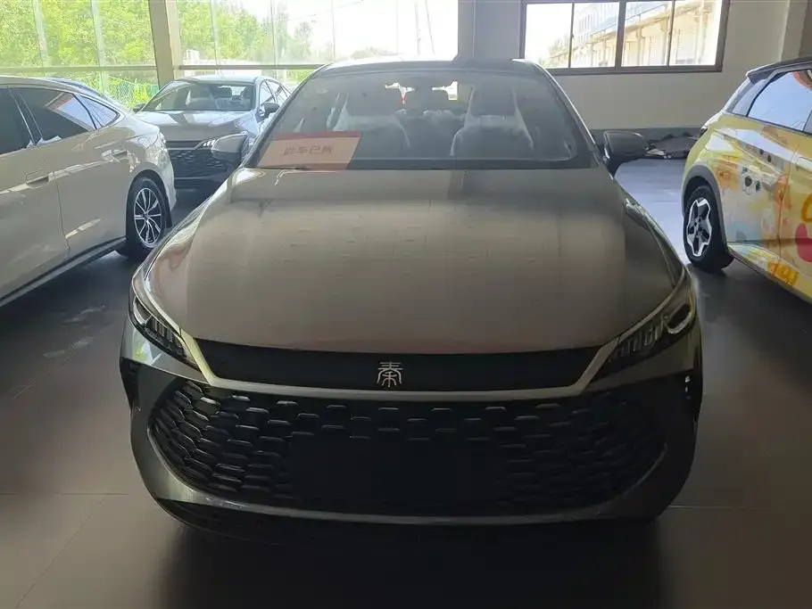 BYD Qin PLUS — фото 2