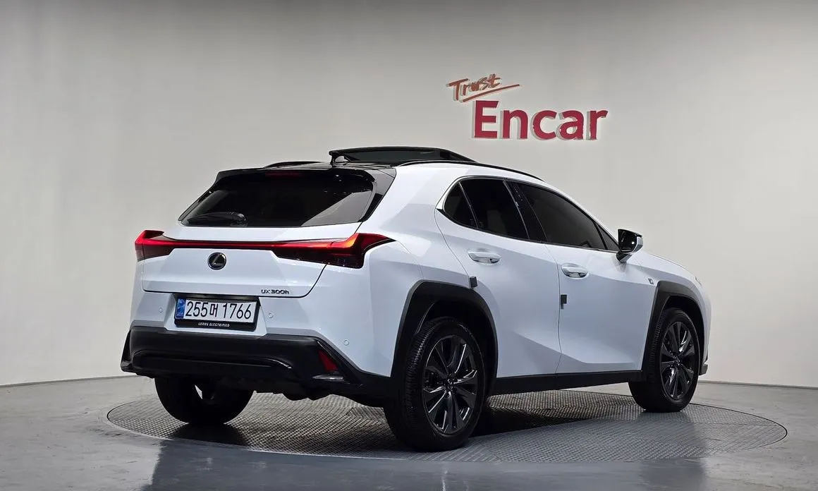 Lexus UX 2025 из KR, фото 2