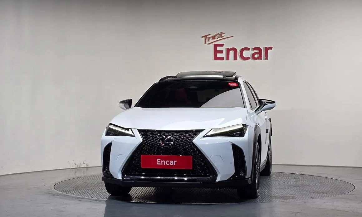 Lexus UX 2025 из KR, фото 8