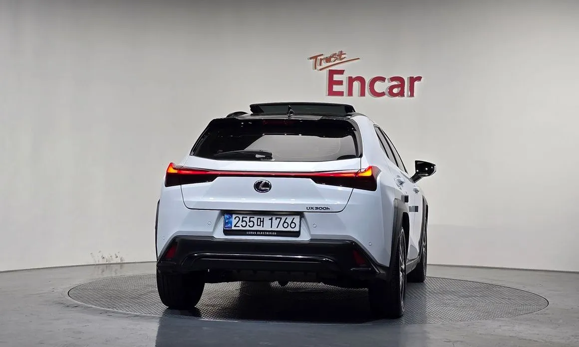 Lexus UX 2025 из KR, фото 4