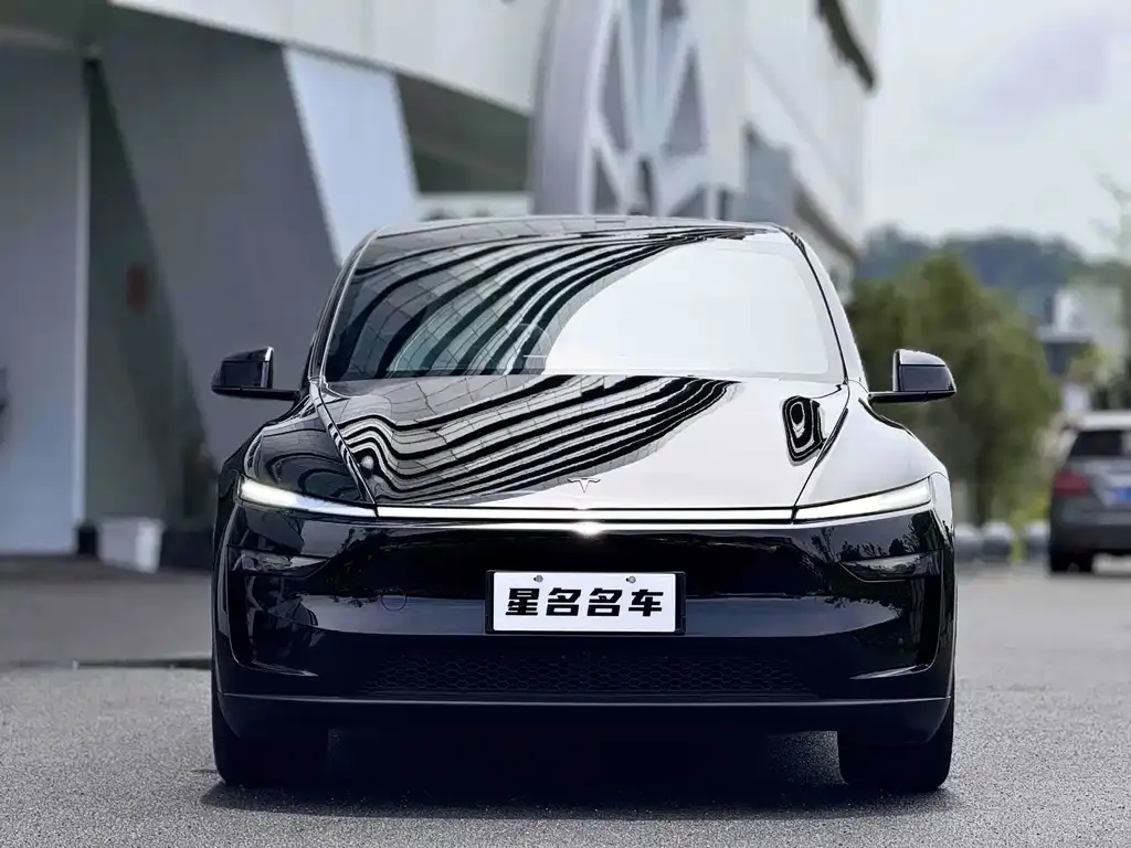 Tesla Model Y L 2025 из CN, фото 8