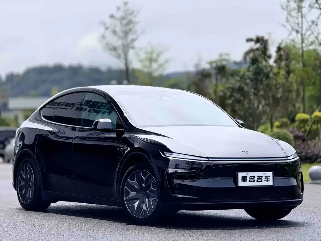 Tesla Model Y L 2025 из CN, фото 4