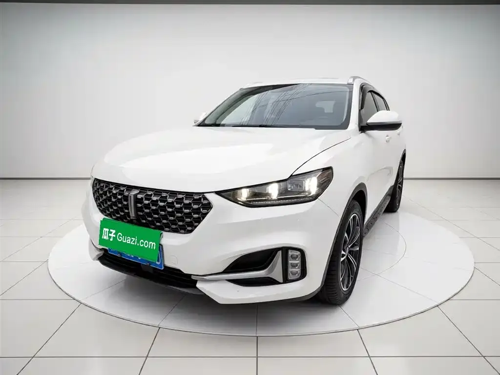 Wey VV6
