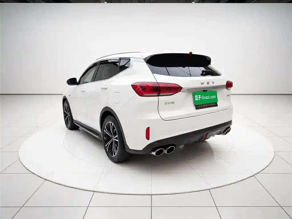 Wey VV6 2021 из CN, фото 4