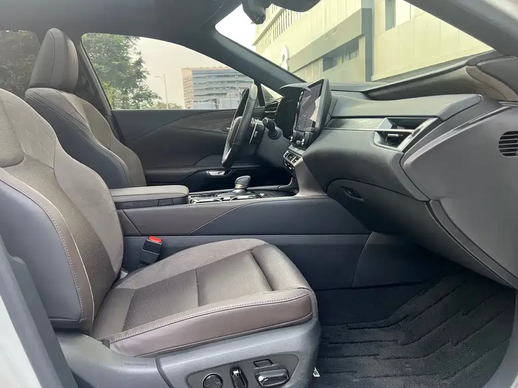 Lexus RX New Energy 2023 из CN, фото 4