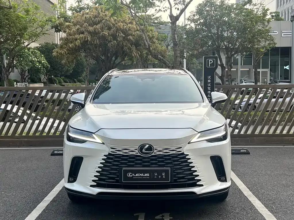 Lexus RX New Energy 2023 из CN, фото 10