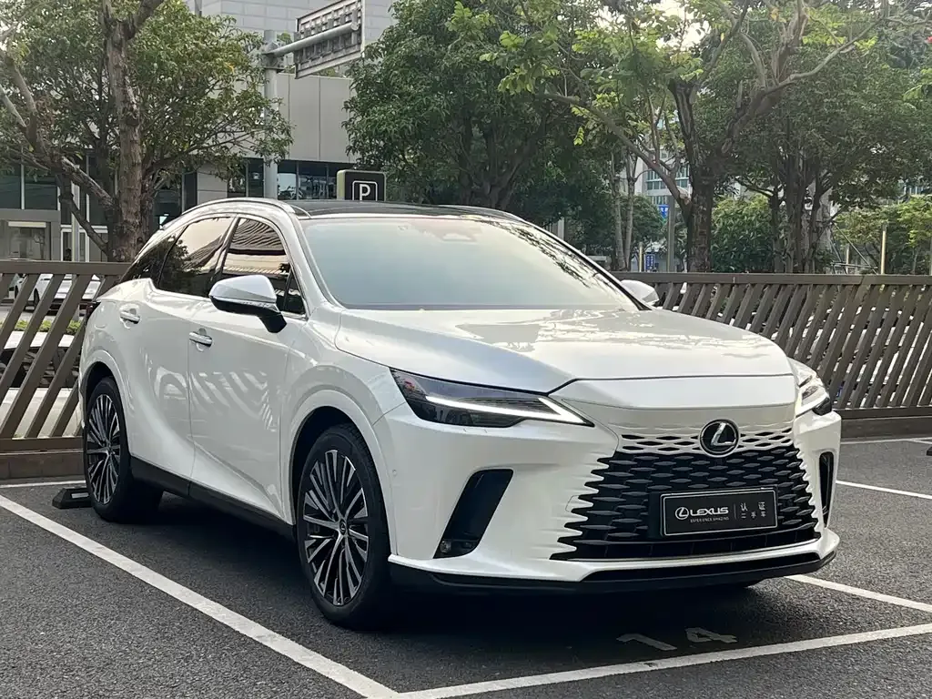 Lexus RX New Energy 2023 из CN, фото 8
