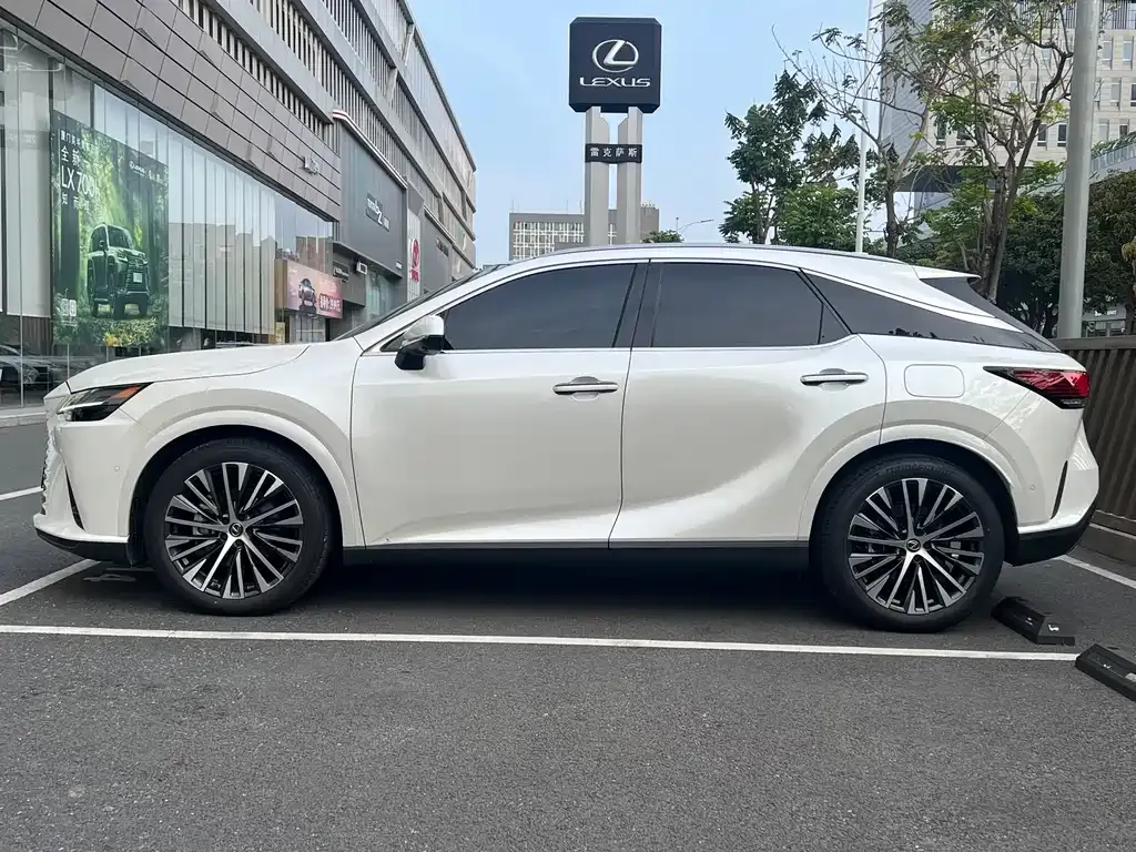Lexus RX New Energy 2023 из CN, фото 9