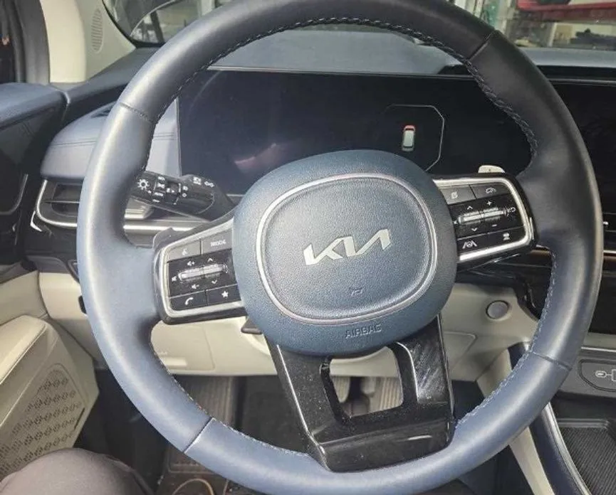 Kia Carnival — фото 10